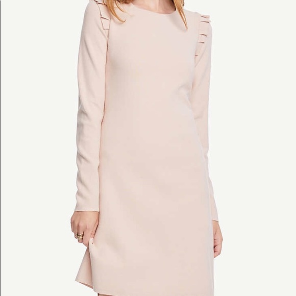 Ann Taylor Dresses & Skirts - Ann Taylor Pink ruffle sweater dress